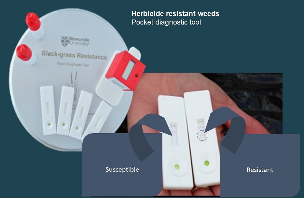 Pocket diagnostic tools can be used to detect herbicide resistance in field populations of weeds in as little as 10 minutes.